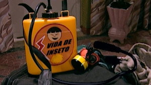 Vida de Inseto