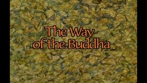 The Way of the Buddha