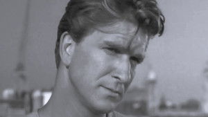 Poor Little Kangaroo Rat