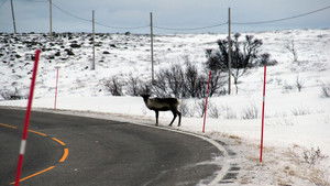 Navigating Norway's Arctic Roads