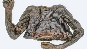 Secrets of Mayan Murders