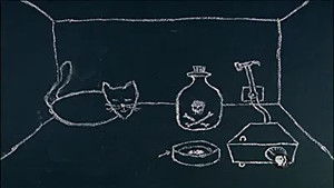 Parallel Worlds, Parallel Lives