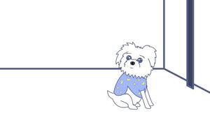 Dogs & Disappointment