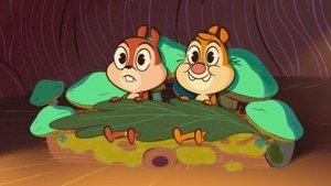 The Whole Package / Bird Brains / Acorn In My Side