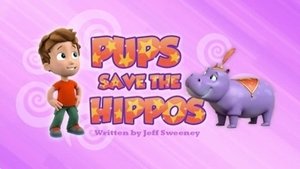 Pups Save the Hippos