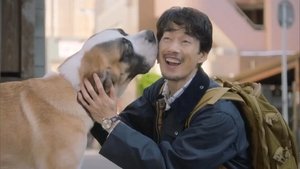 Unconvential Judge vs Straight-Laced Elite Judge! Birth of Partners