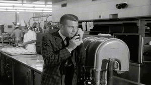 Lizard's Leg and Owlet's Wing