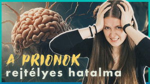 Az ÖLHET MEG, ami EMBERRÉ TESZ