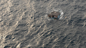 Surviving the Tsunami