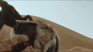 Trapped in Gutongjing