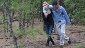 Psychological Warfare