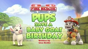 Fire Rescue: Pups Save a Baby Goat Birthday