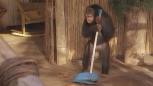 Tarzan and the Movie Star