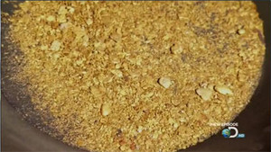 Gold, Guns, and Bears