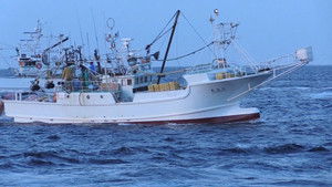 No Going Back: New Ideas from a Tsunami-hit Fishing Town