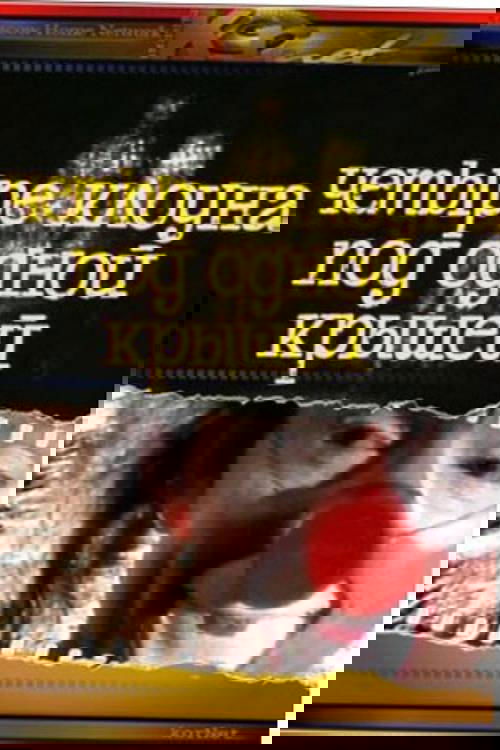 Four Clowns Under One Roof