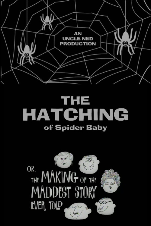 The Hatching of Spider Baby