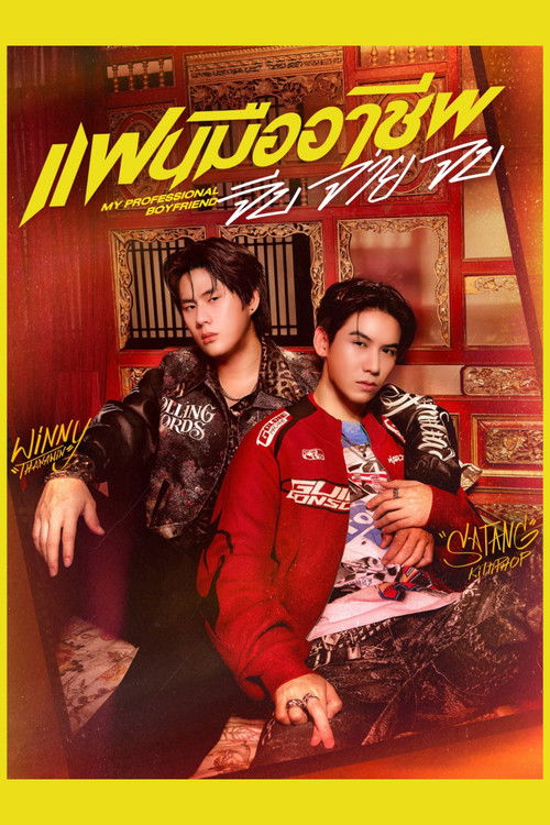 My Professional Boyfriend