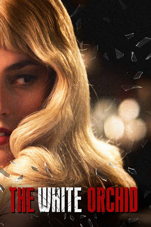 The White Orchid