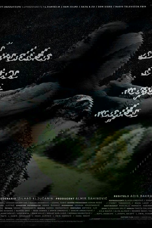 My Mother's Swedish Heart