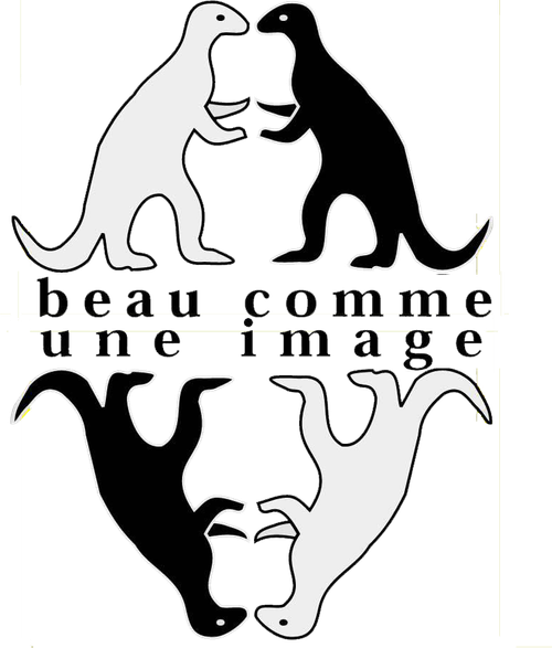 Beau Comme une Image