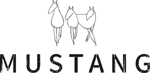 Mustang Productions