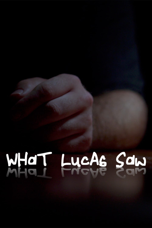 What Lucas Saw
