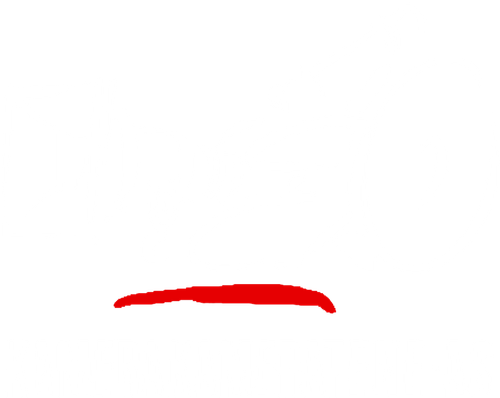 Kamerakameratene
