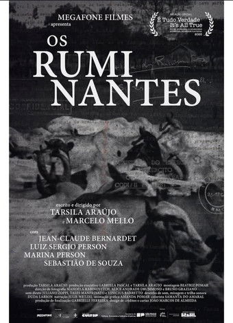 Os Ruminantes