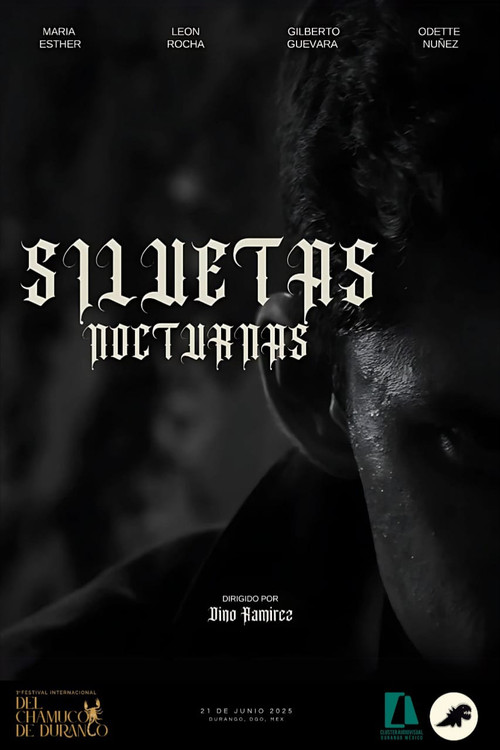 SILUETAS NOCTURNAS