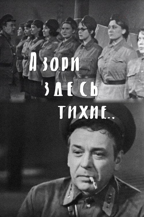 The Dawns Here Are Quiet