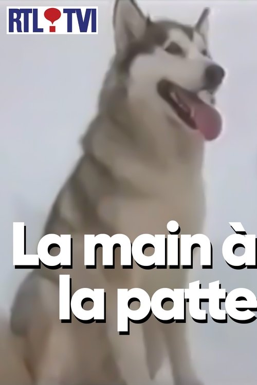 La main à la patte