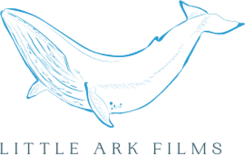 Little Ark Films