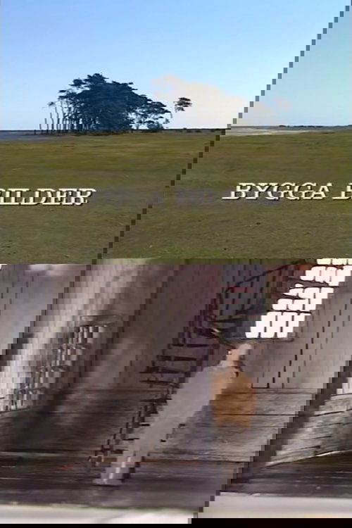 Building Images: Anna Asp on Scenography