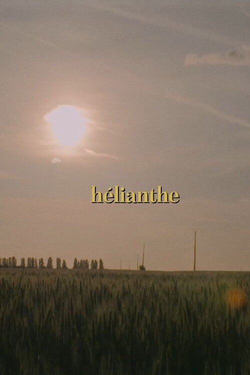 Hélianthe
