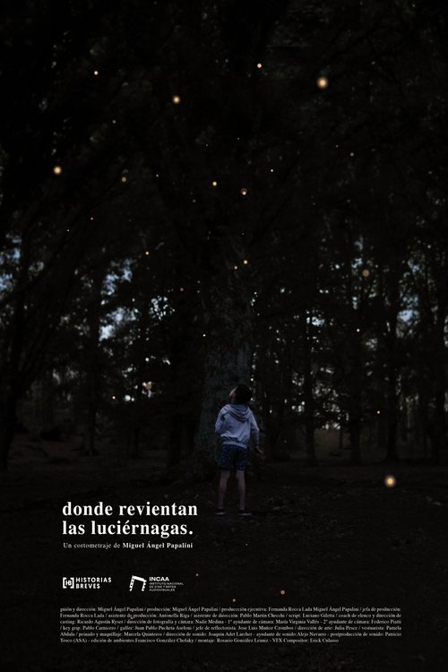 Where the fireflies burst