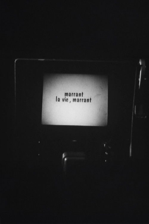 Marrant la vie, Marrant !