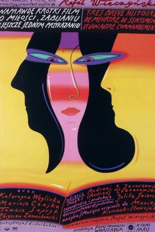 A Really Short Story about Love, Killing and Still Another Feeling