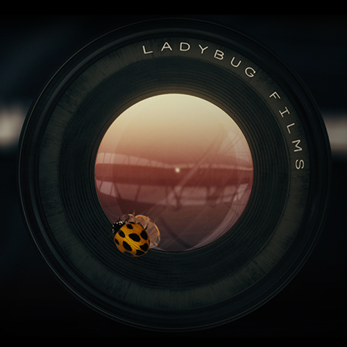 Ladybug Films