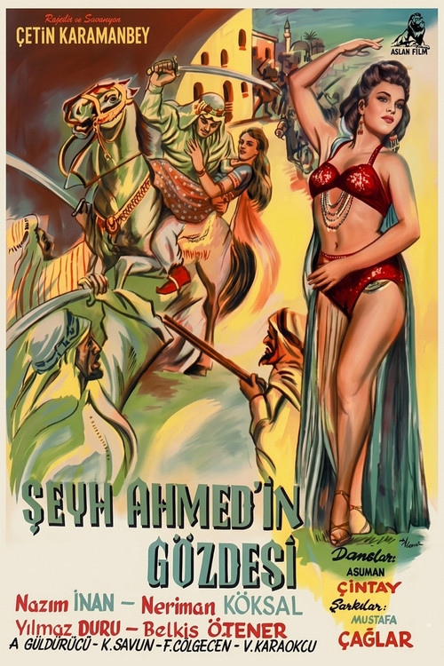 Şeyh Ahmed'in Gözdesi