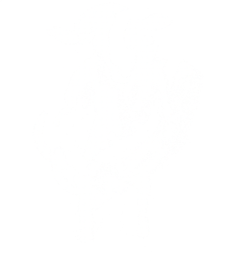 Northern Sheep Cinema