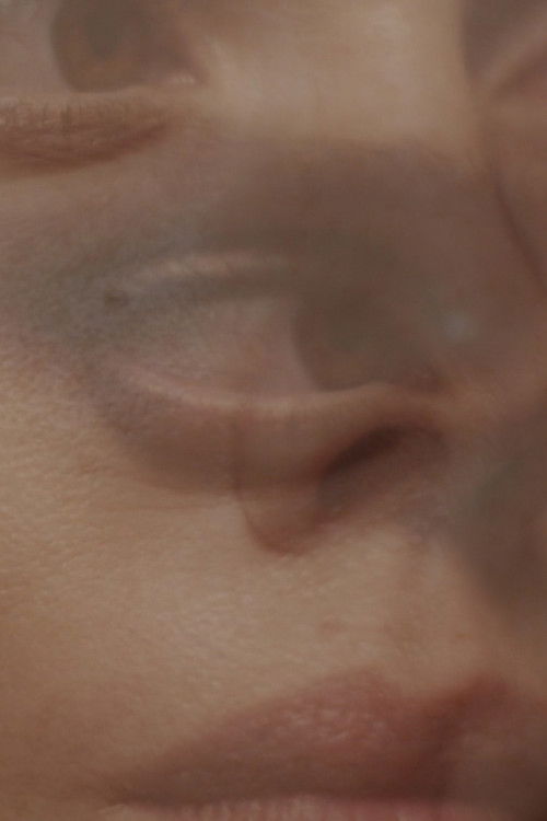 The Past Is a Foreign Country