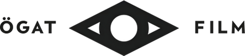 Ögat Film