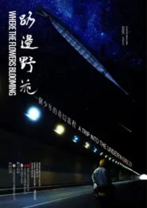 Where The Flowers Blooming