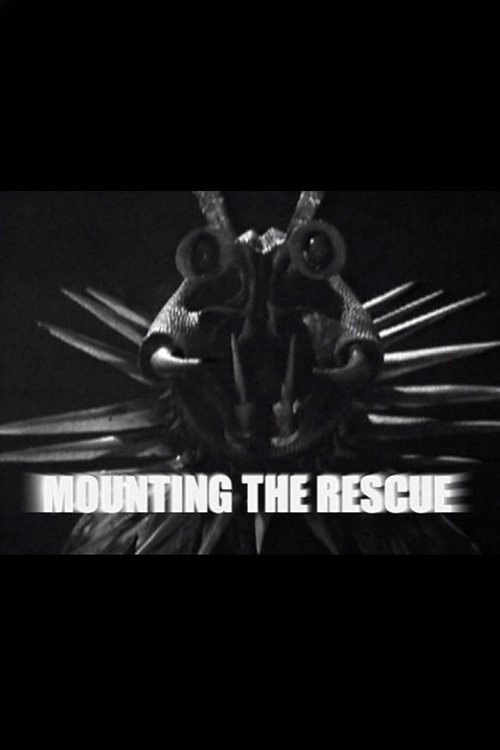 Mounting the Rescue