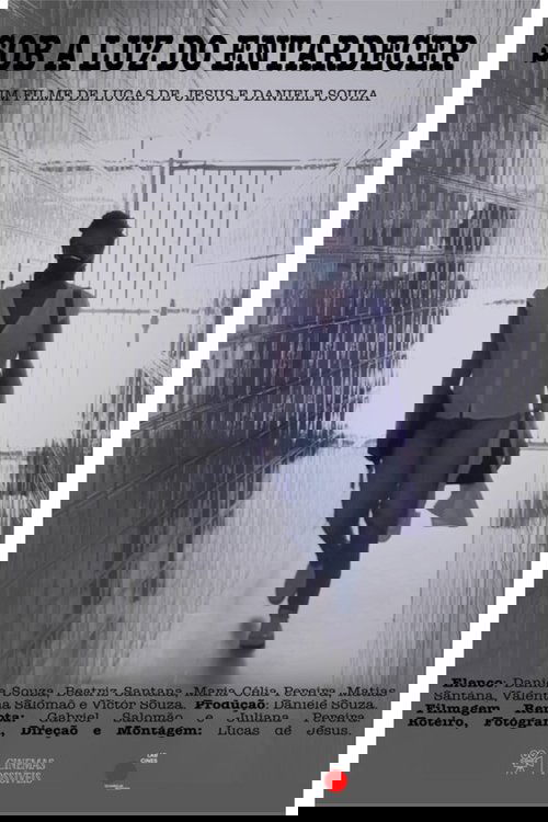 Sob a Luz do Entardecer