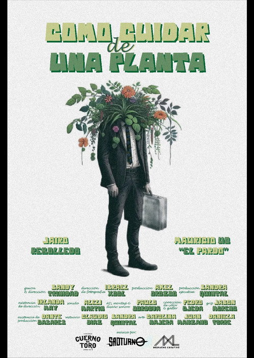 How to care for a plant