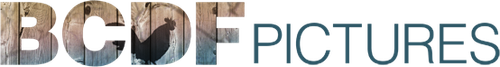 BCDF Pictures