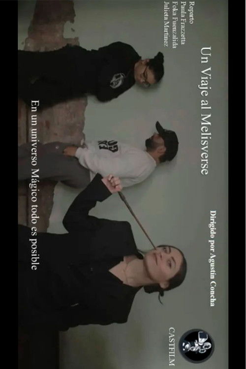 A Trip to the Melisverse