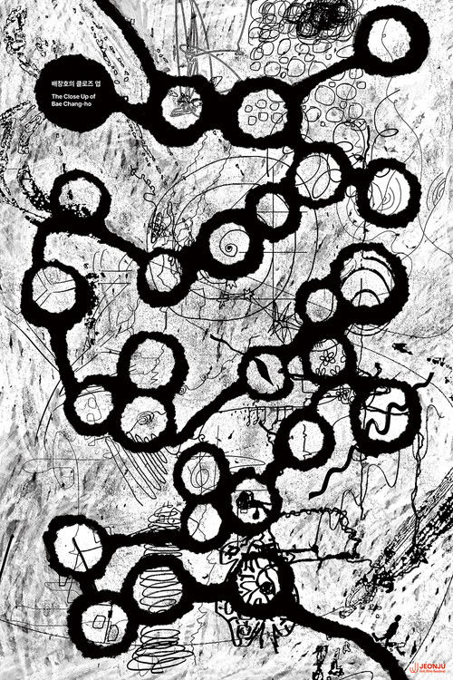 The Close Up of Bae Chang-ho